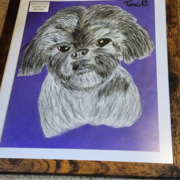 Hand Crafted Shih-Tzu Dog Colored Pencil Drawing Framed 9x11" - Picture 2 of 16